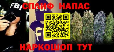 дмт Пенза
