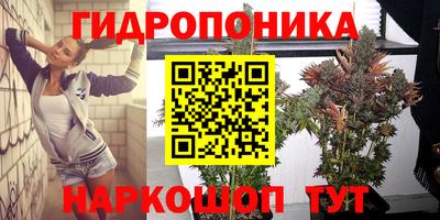 дмт Пенза
