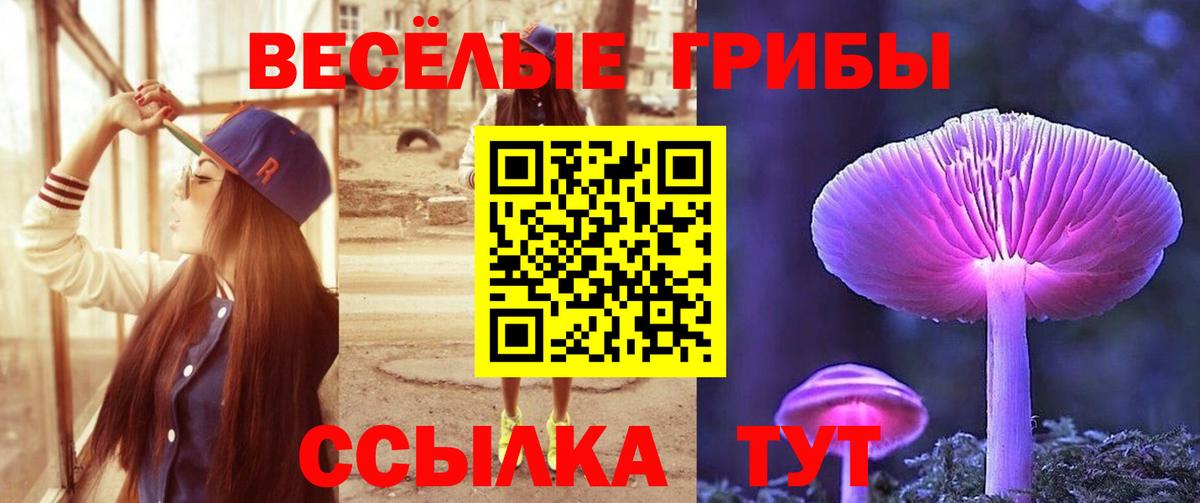 Псилоцибиновые грибы Cubensis Партизанск